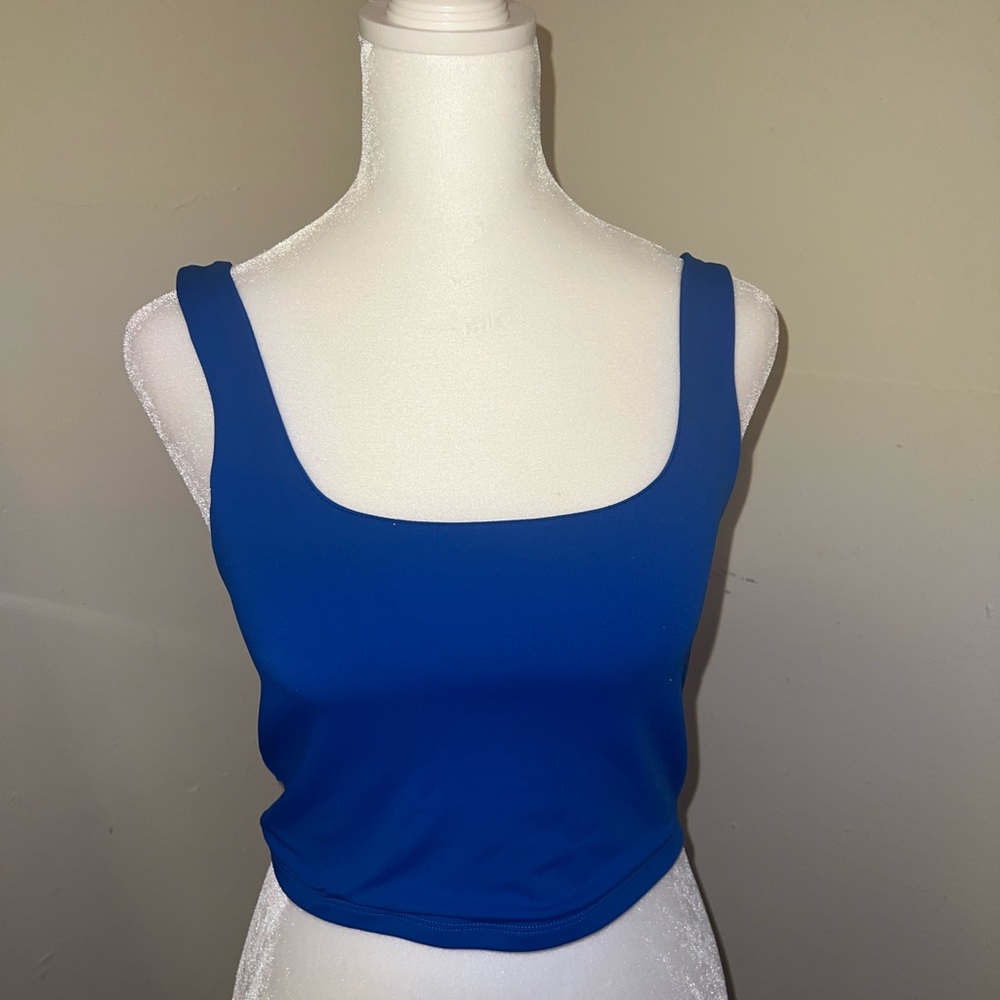 Express Womens Body Contour Crop Scoopneck Top Blue